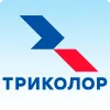 Триколор